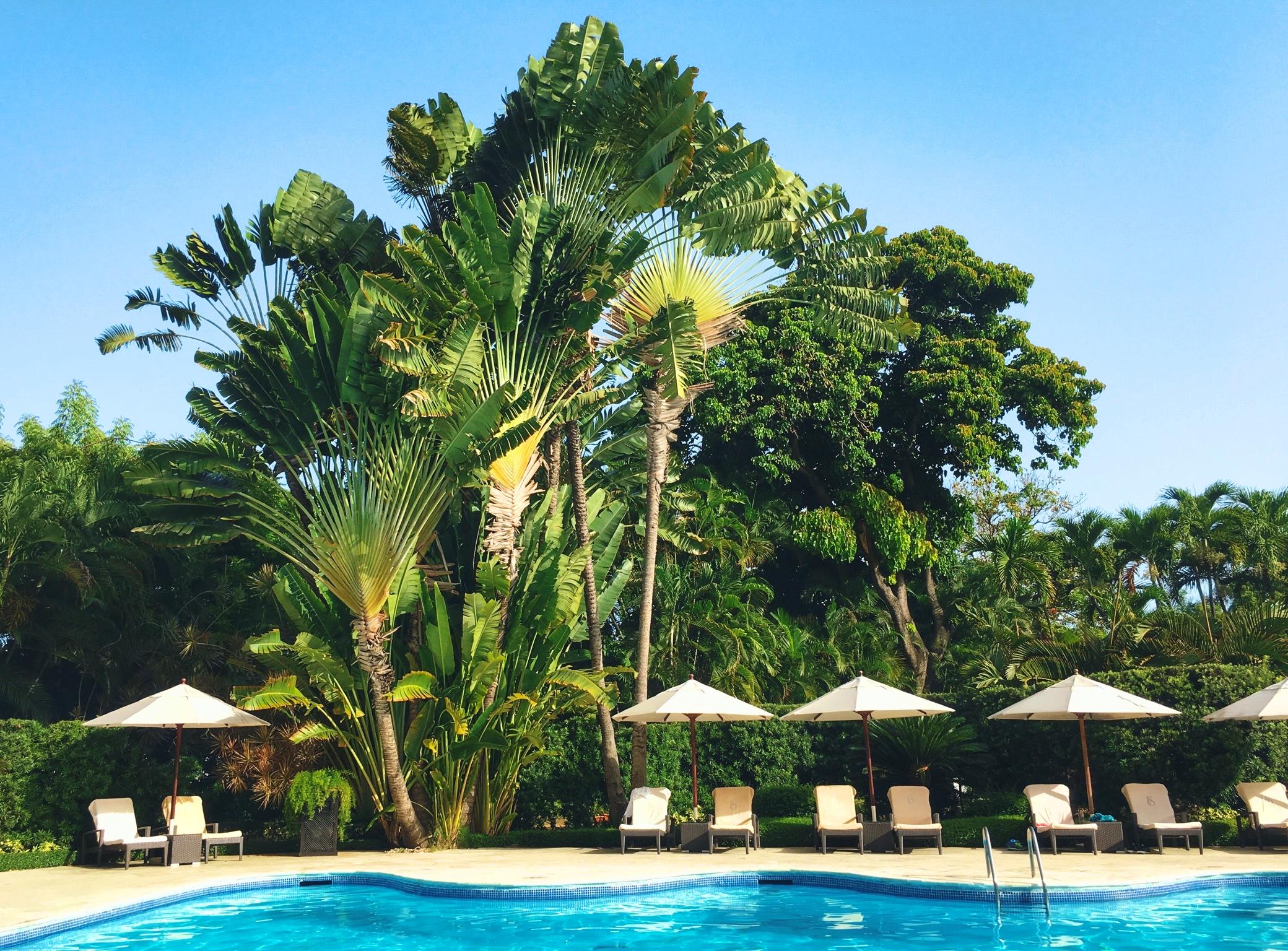 El Embajador, A Royal Hideaway Hotel Santo Domingo Exteriér fotografie The swimming pool at the hotel